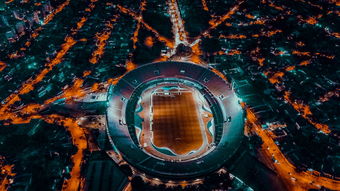 乐鱼电竞-埃及队未来规划：全方位打造高水平乒乓队伍，埃及乒乓球男团名单